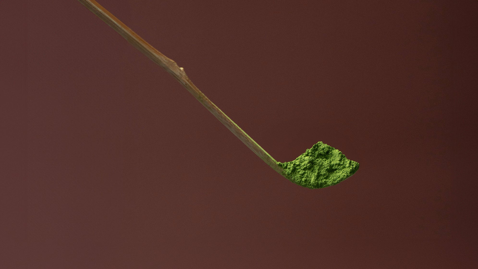Spoonful of vibrant green matcha powder from Copper Tea, sourced from Uji, Japan